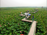 北京到白洋淀路线