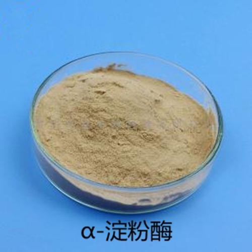 蛋白酶