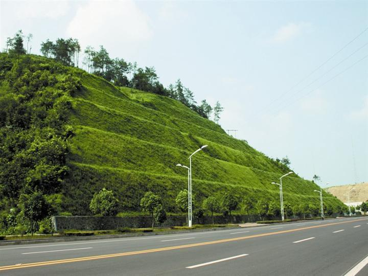 聚氨酯筛板